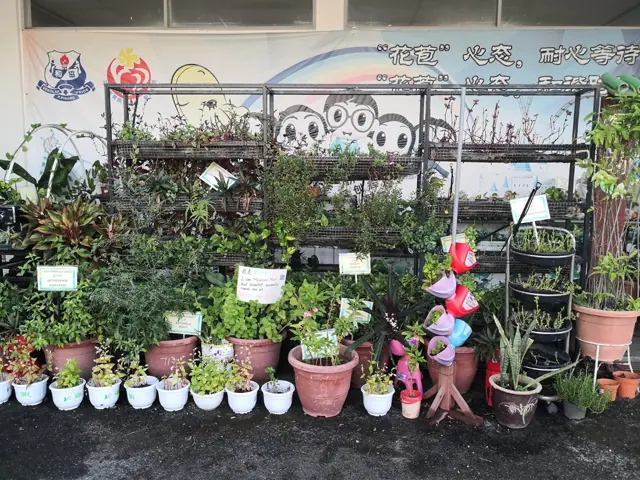 农耕绿站 Urban Farmers Corner